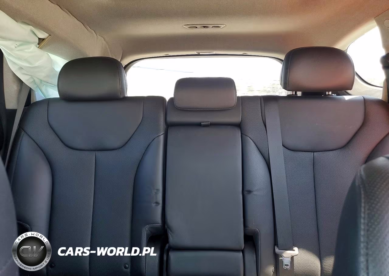 2020 Hyundai Santa Fe Limited VIN:5NMS5CADXLH246927 - 10