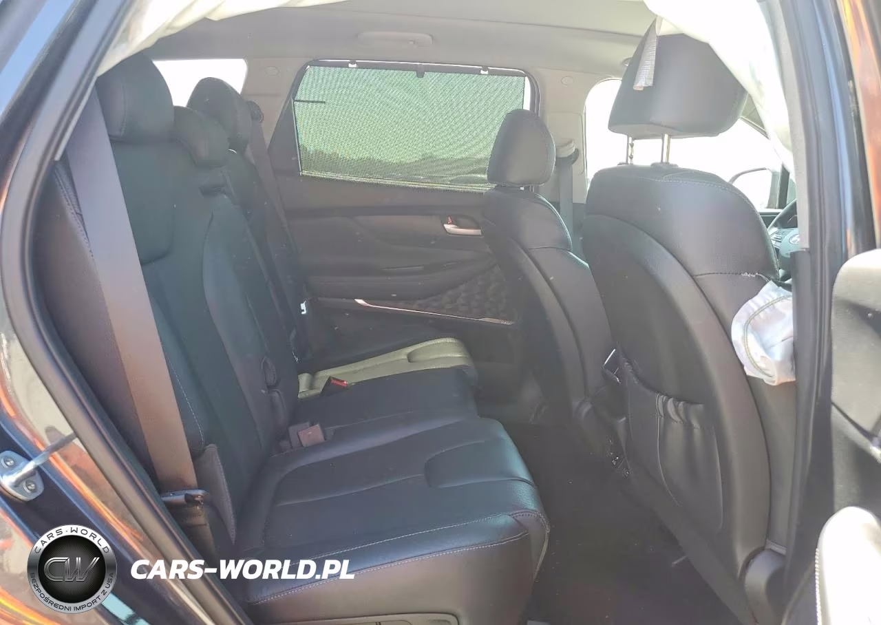 2020 Hyundai Santa Fe Limited VIN:5NMS5CADXLH246927 - 11