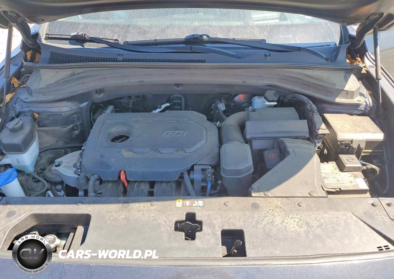 2020 Hyundai Santa Fe Limited VIN:5NMS5CADXLH246927 - 12