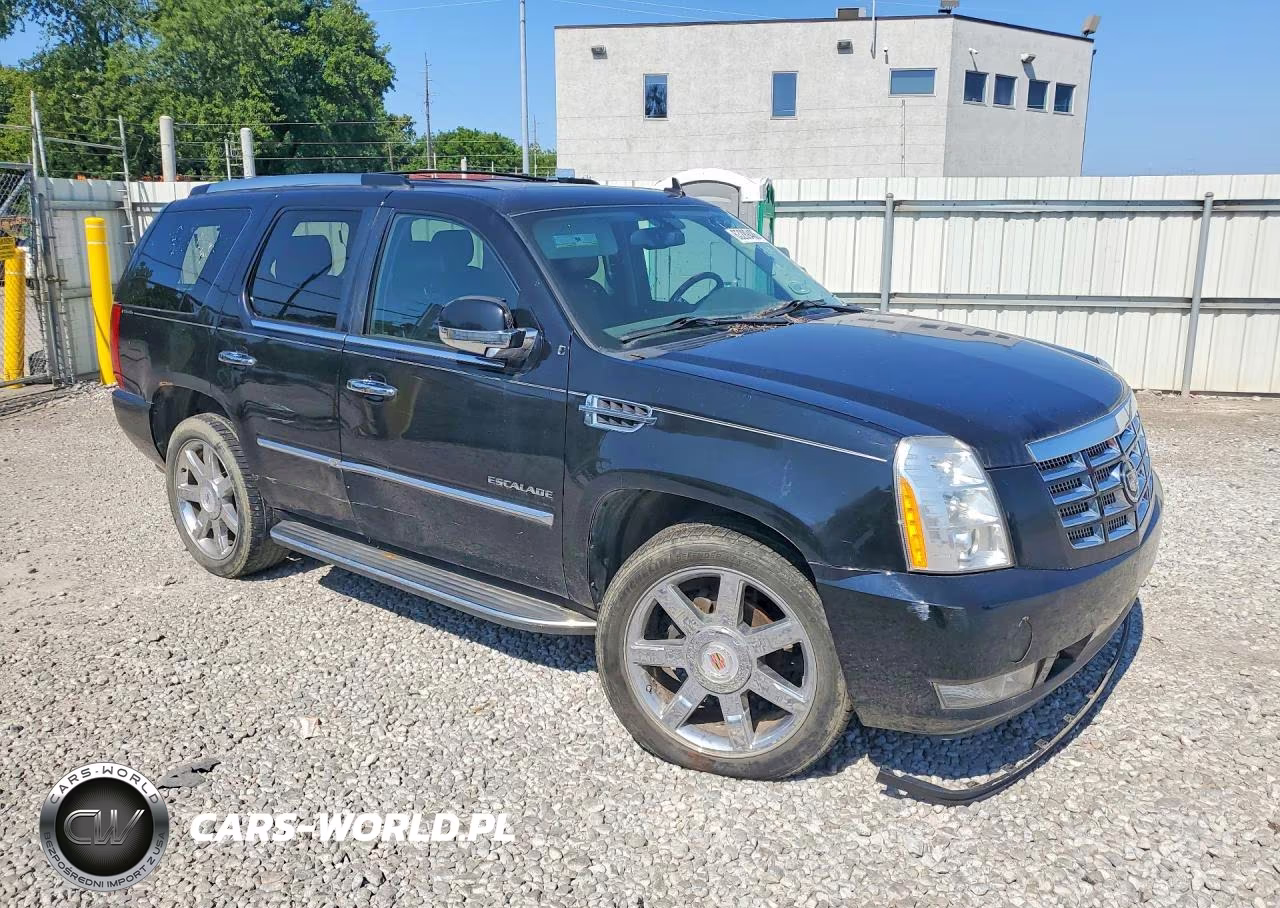 2011 Cadillac Escalade Luxury VIN:1GYS4BEF1BR131470 - 4