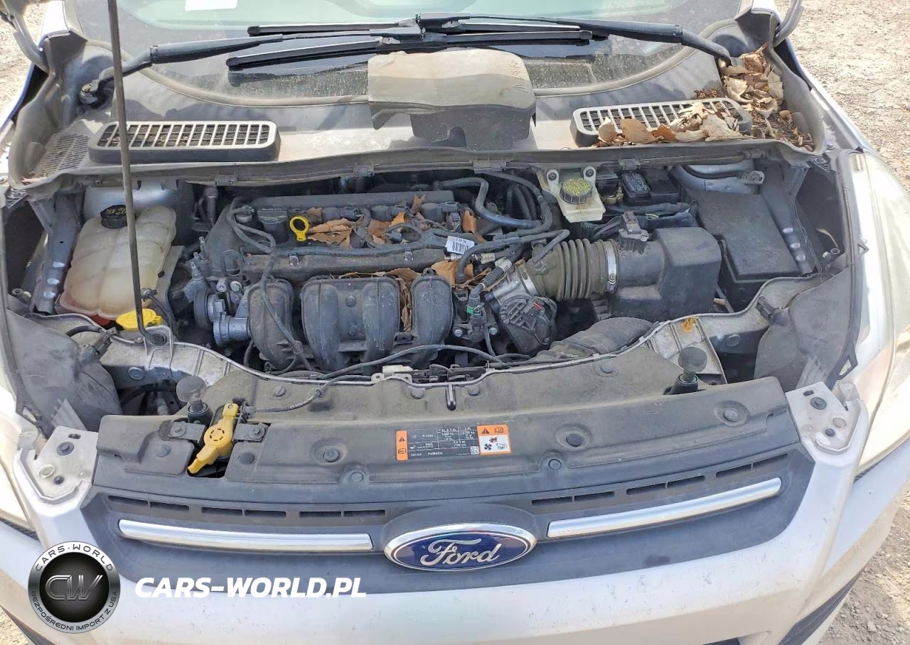 2016 Ford Escape Se VIN:1FMCU0G76GUA70234 - 12