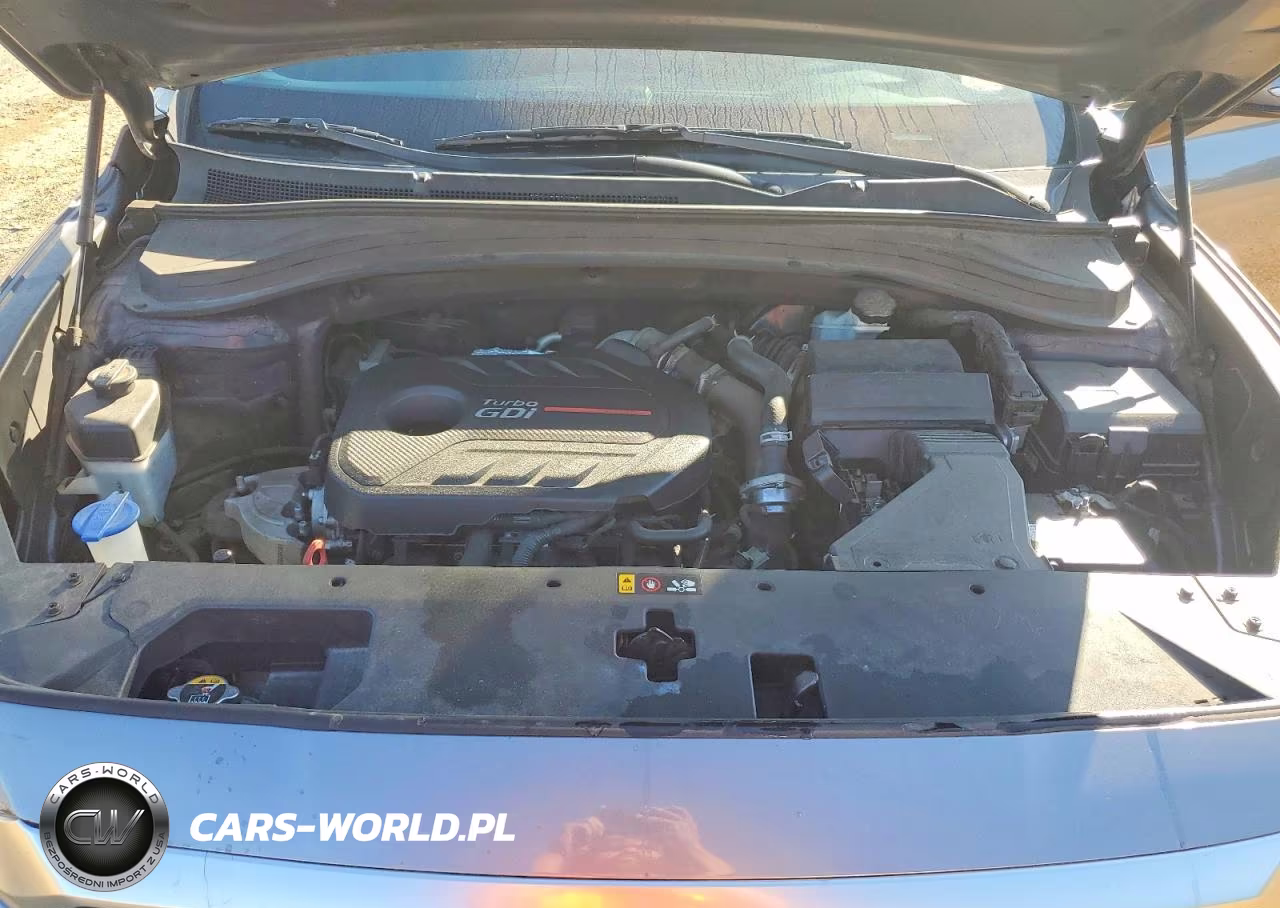 2019 Hyundai Santa Fe Limited 2.0T VIN:5NMS53AA2KH020482 - 12