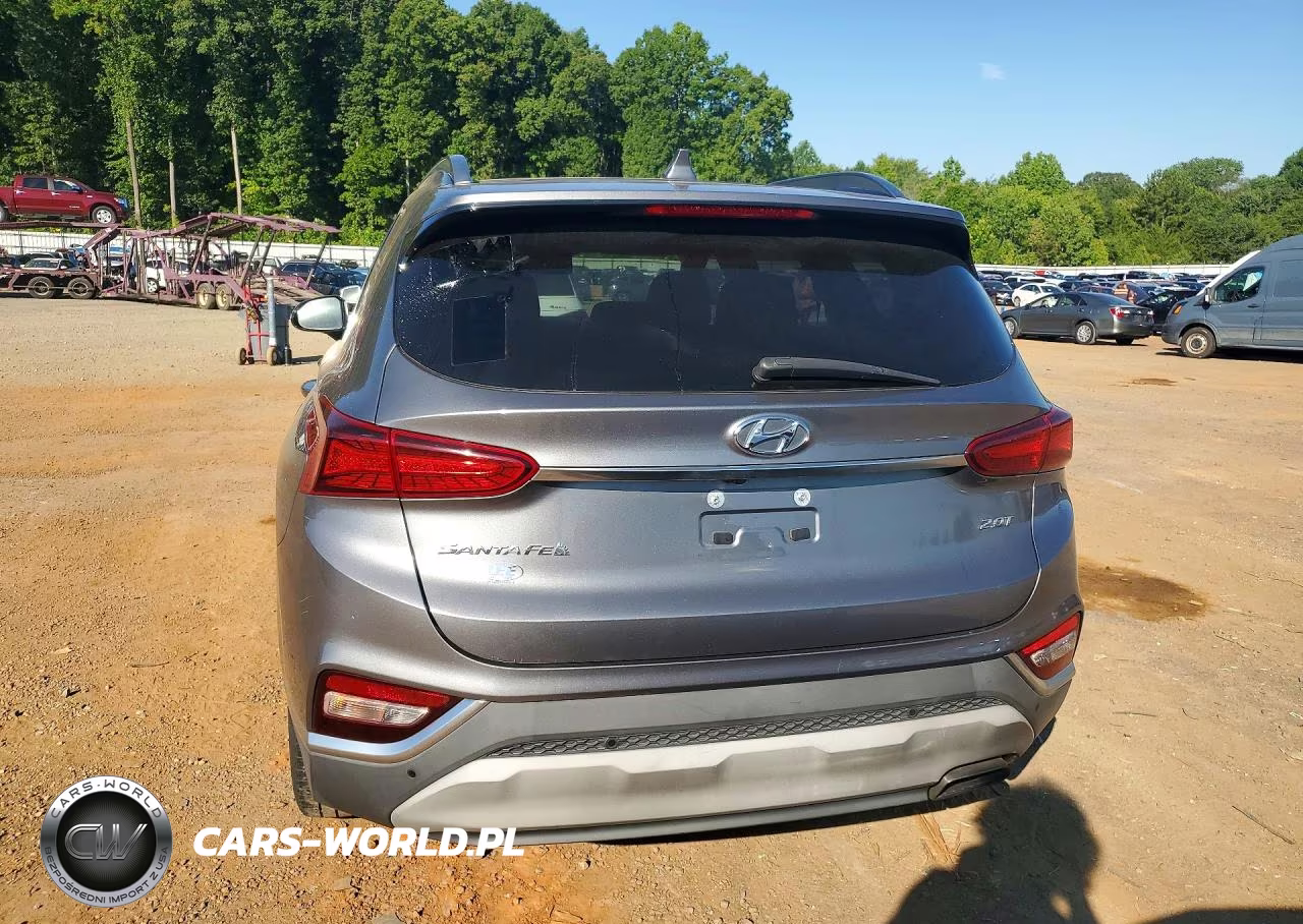 2019 Hyundai Santa Fe Limited 2.0T VIN:5NMS53AA2KH020482 - 6