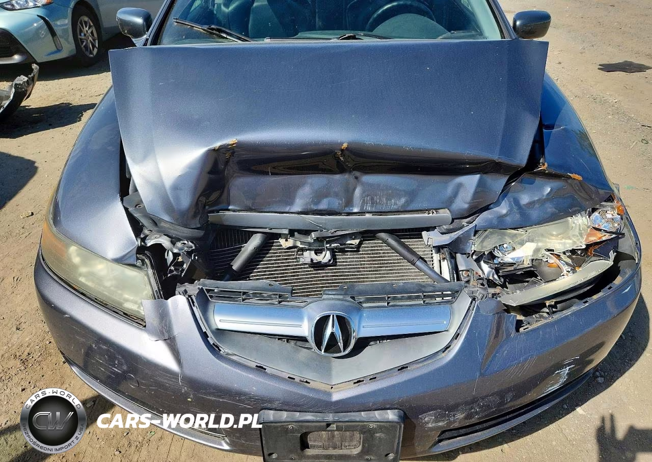 2006 Acura 3.2Tl VIN:19UUA66266A050089 - 11