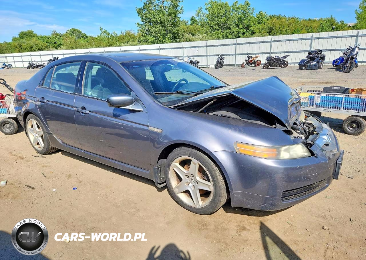 2006 Acura 3.2Tl VIN:19UUA66266A050089 - 4