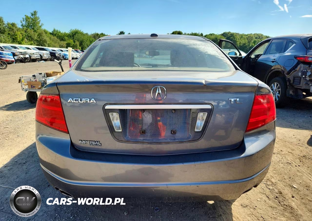 2006 Acura 3.2Tl VIN:19UUA66266A050089 - 6