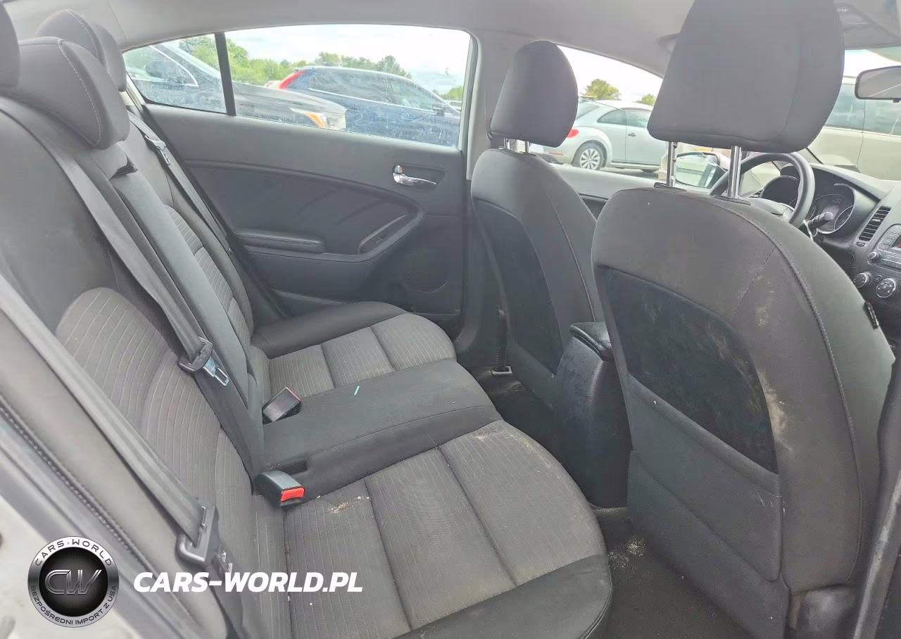 2015 Kia Forte Lx VIN:KNAFX4A69F5306252 - 10