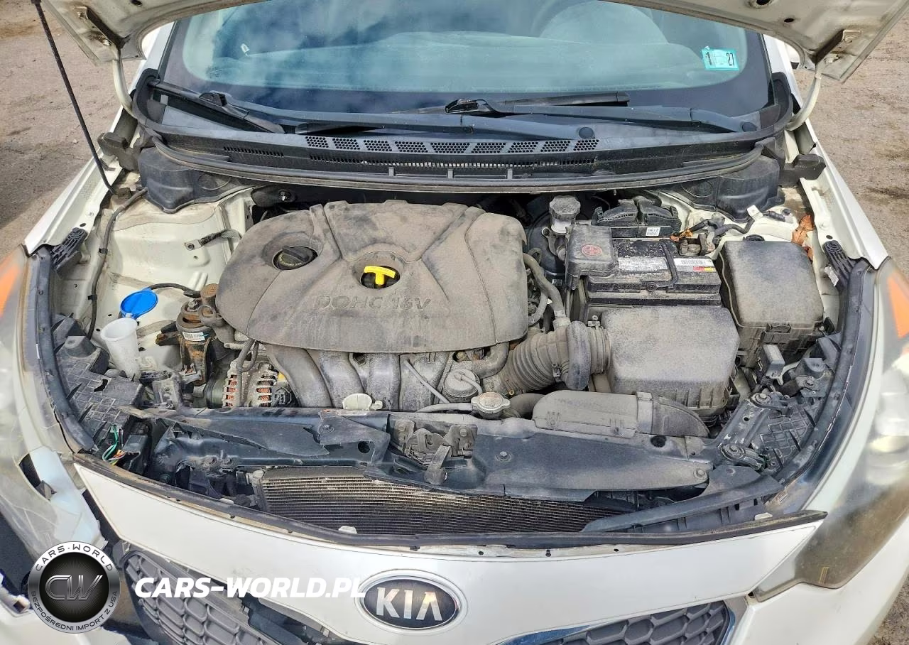 2015 Kia Forte Lx VIN:KNAFX4A69F5306252 - 11