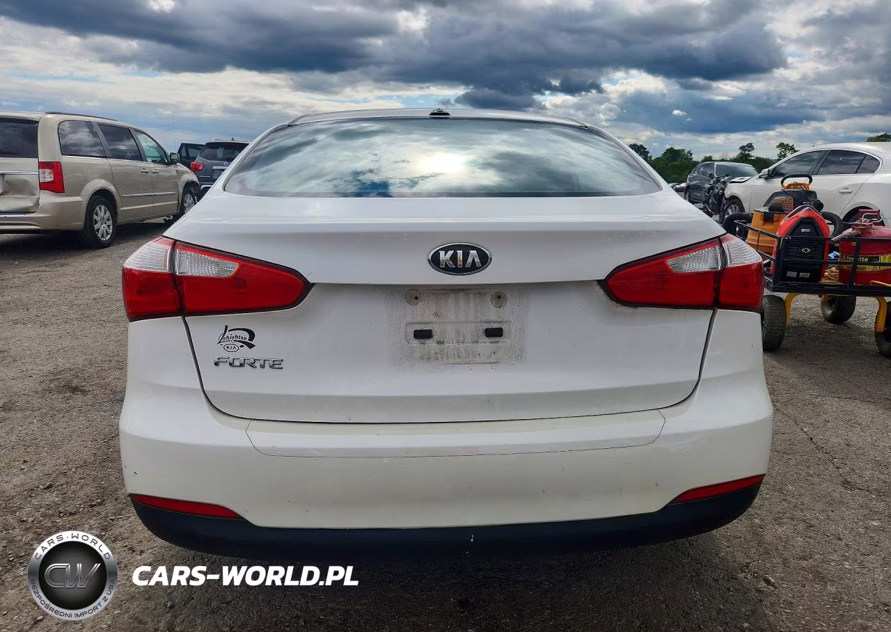 2015 Kia Forte Lx VIN:KNAFX4A69F5306252 - 6