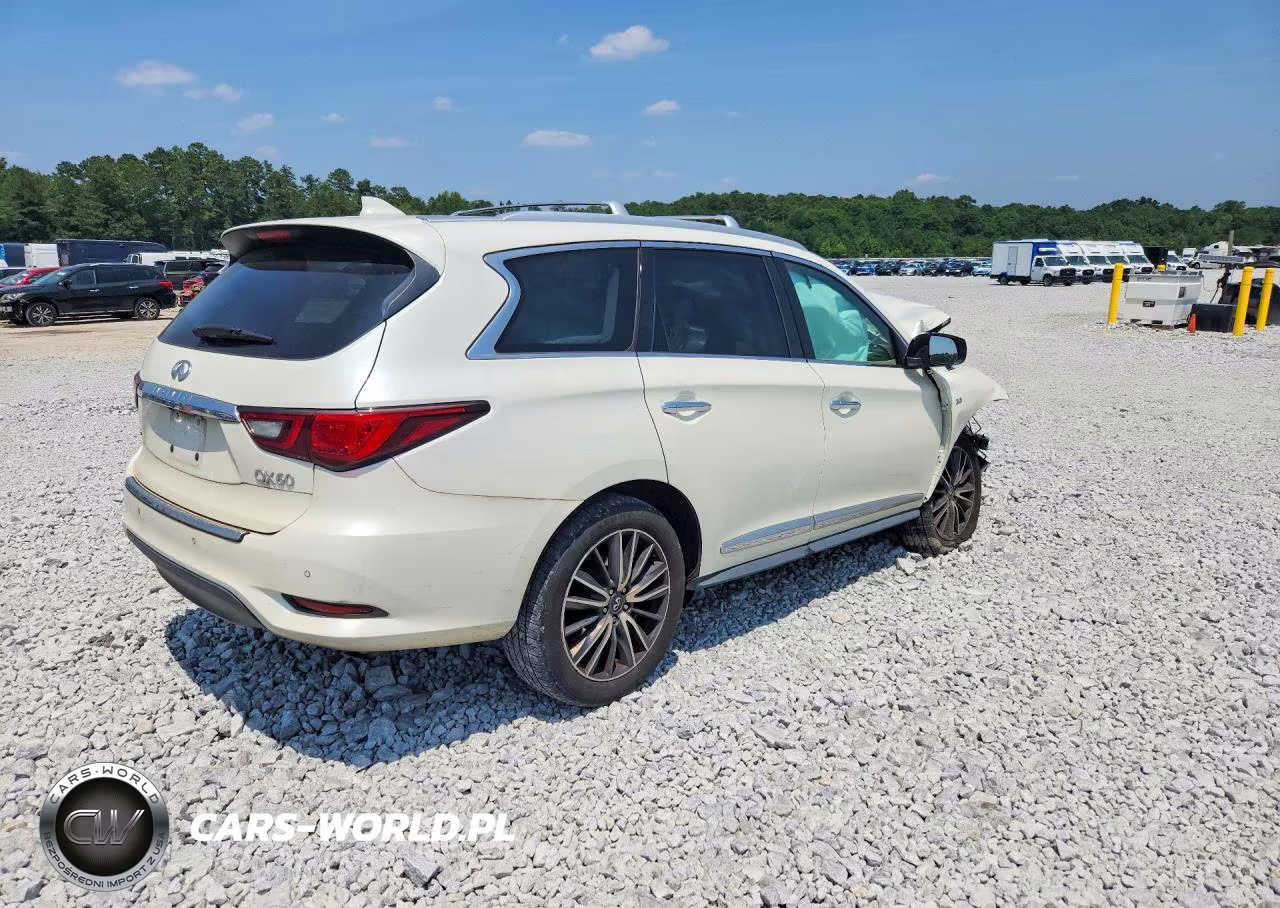 2019 Infiniti Qx60 Luxe VIN:5N1DL0MM0KC516569 - 3