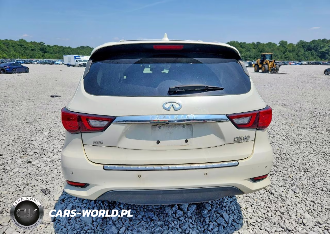 2019 Infiniti Qx60 Luxe VIN:5N1DL0MM0KC516569 - 6