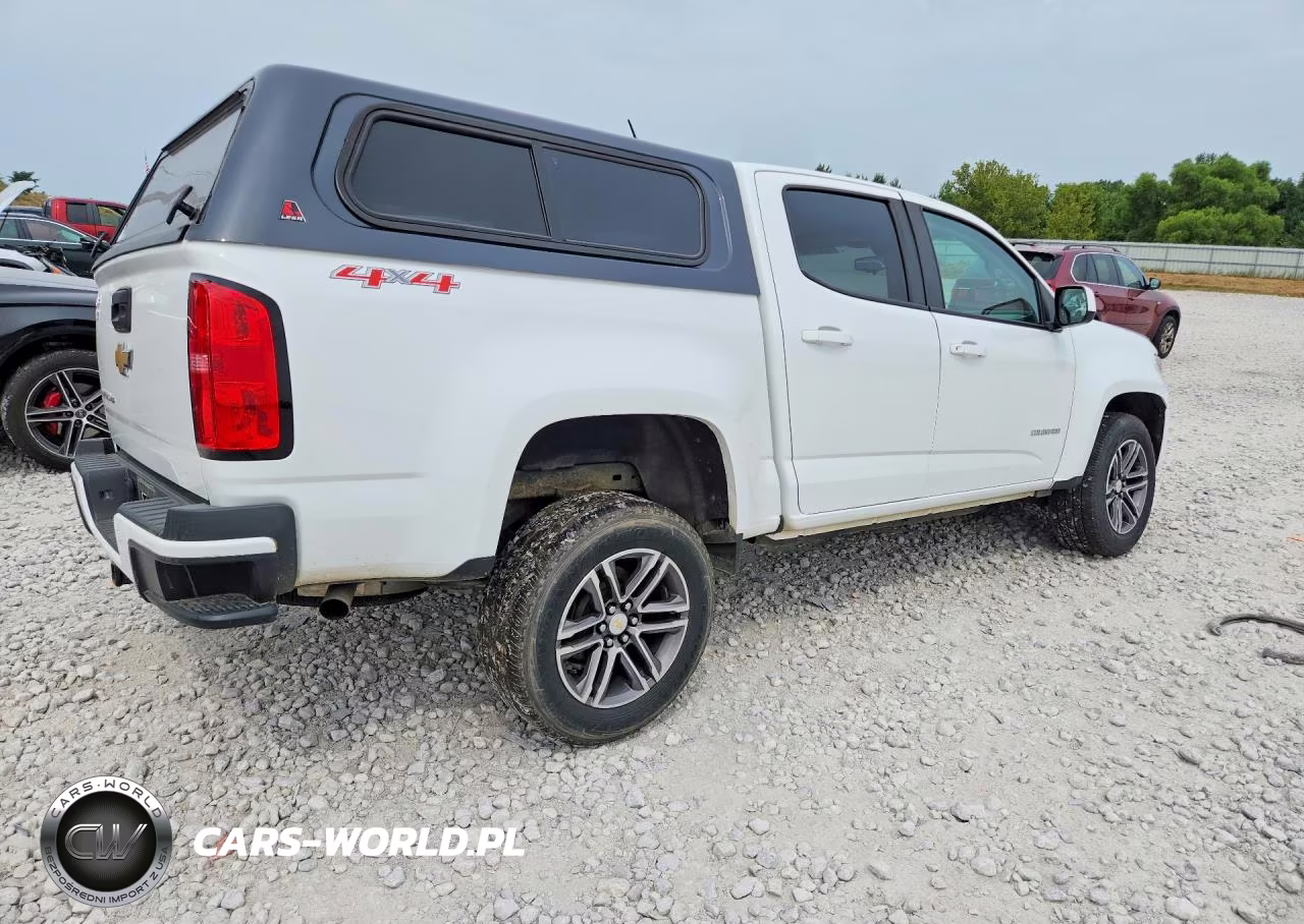 2019 Chevrolet Colorado VIN:1GCGTBEN9K1135948 - 3