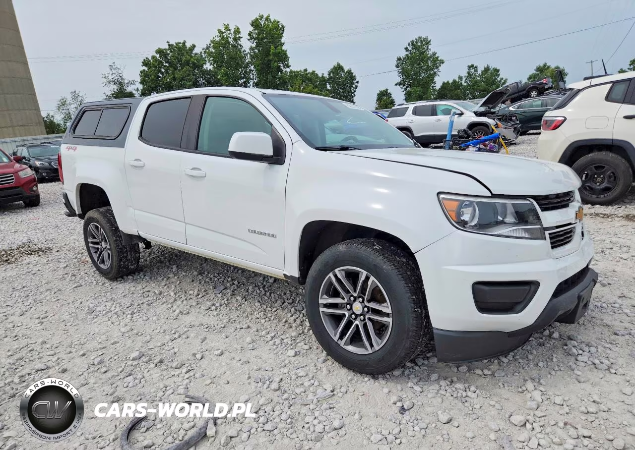 2019 Chevrolet Colorado VIN:1GCGTBEN9K1135948 - 4