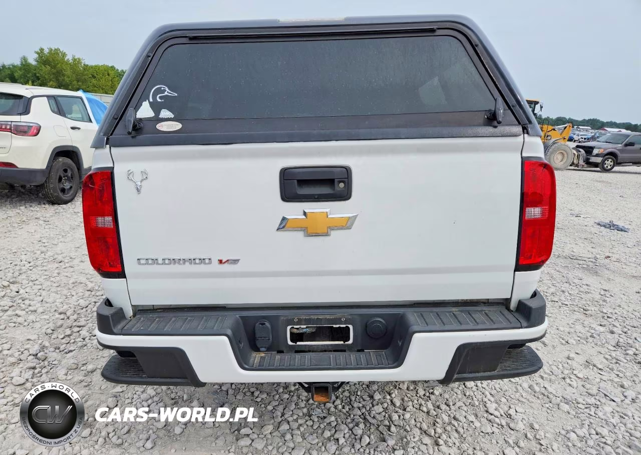 2019 Chevrolet Colorado VIN:1GCGTBEN9K1135948 - 6