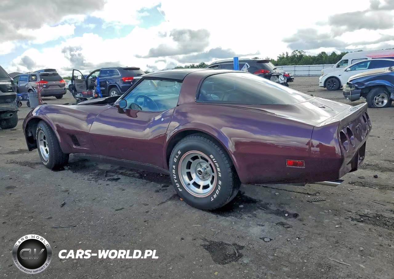 1981 Chevrolet Corvette VIN:1G1AY876XBS415686 - 2