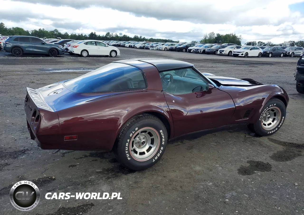 1981 Chevrolet Corvette VIN:1G1AY876XBS415686 - 3