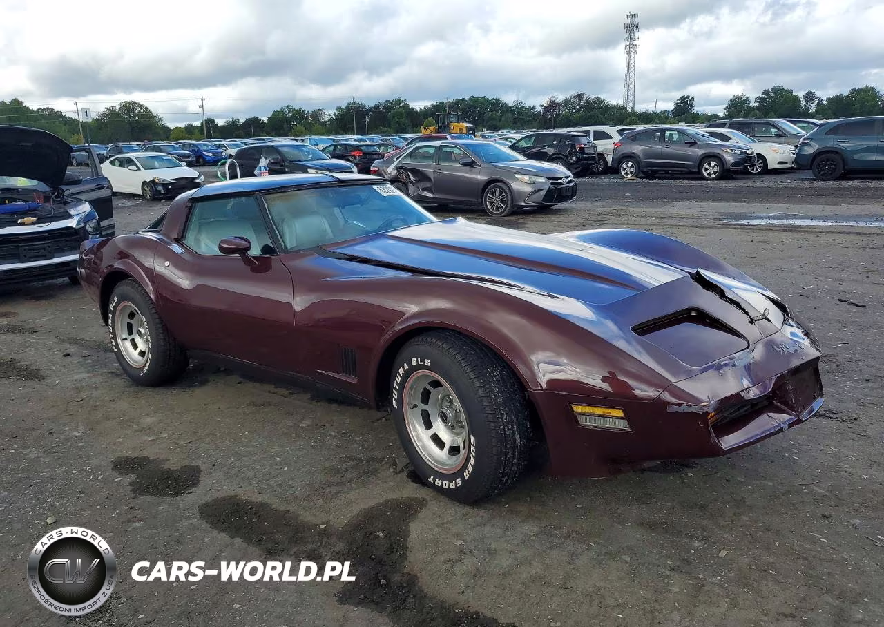 1981 Chevrolet Corvette VIN:1G1AY876XBS415686 - 4