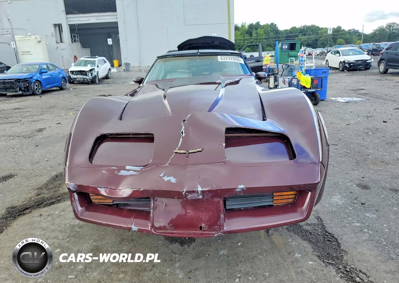 1981 Chevrolet Corvette VIN:1G1AY876XBS415686 - 5