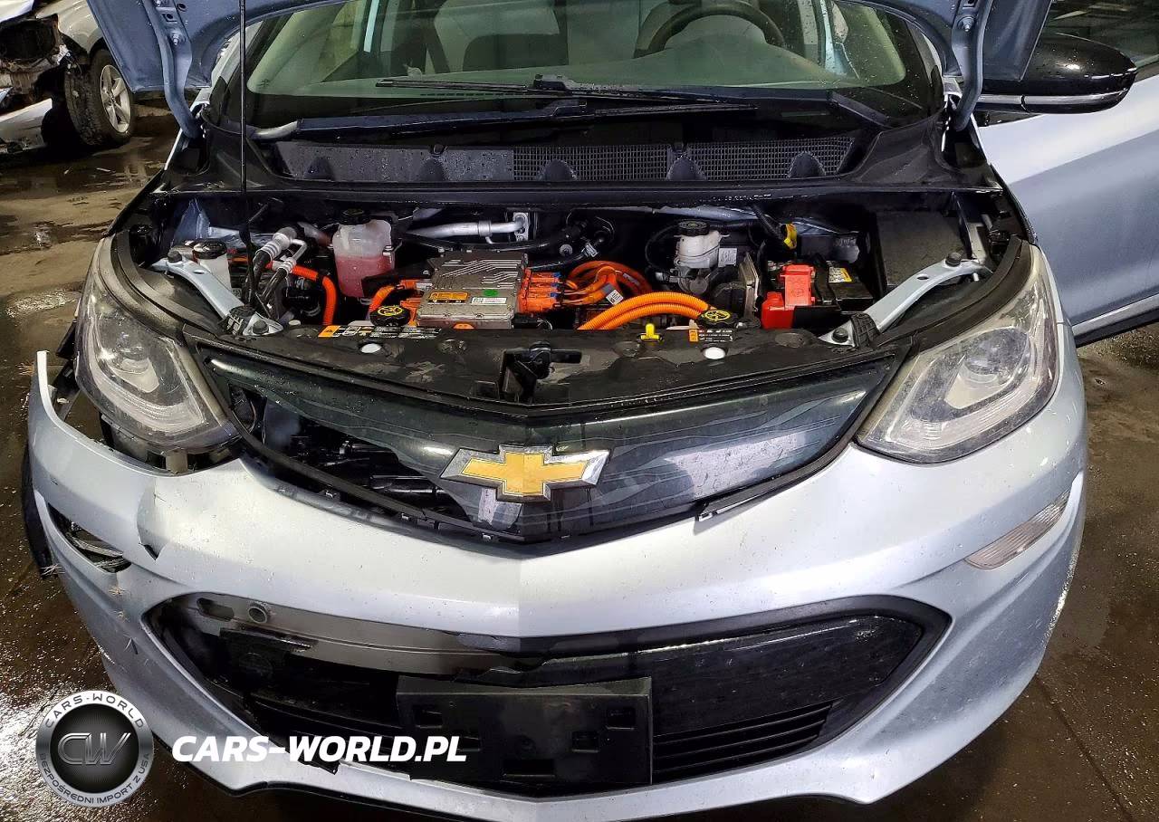 2018 Chevrolet Bolt Ev Lt VIN:1G1FW6S08J4117188 - 11
