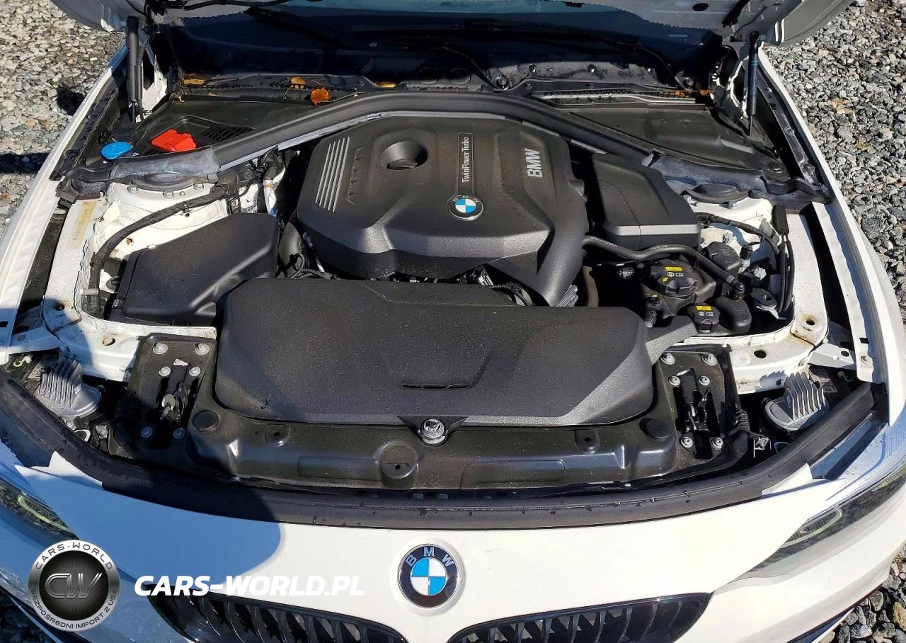 2020 BMW 430I Gran Coupe VIN:WBA4J1C00LBU68011 - 11