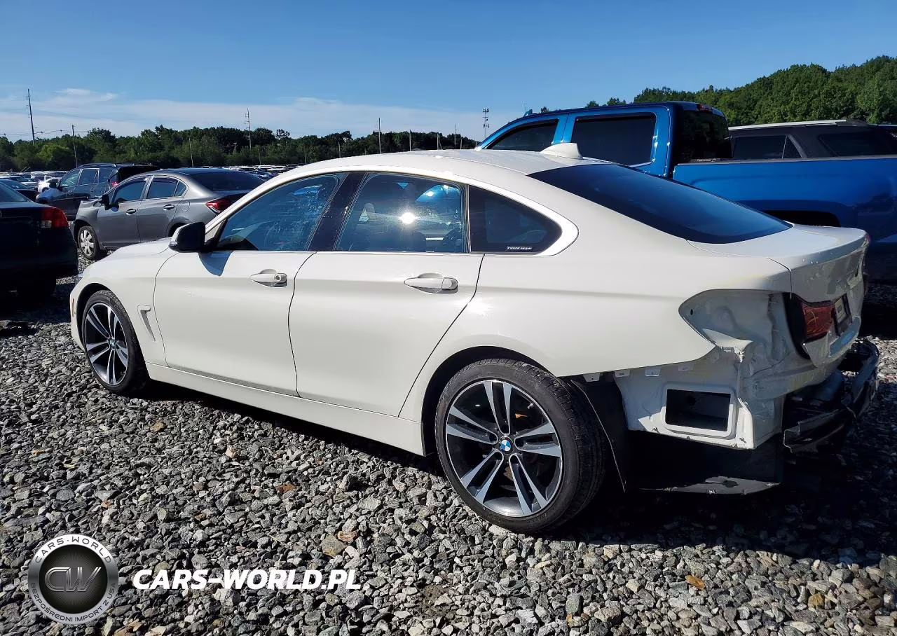 2020 BMW 430I Gran Coupe VIN:WBA4J1C00LBU68011 - 2