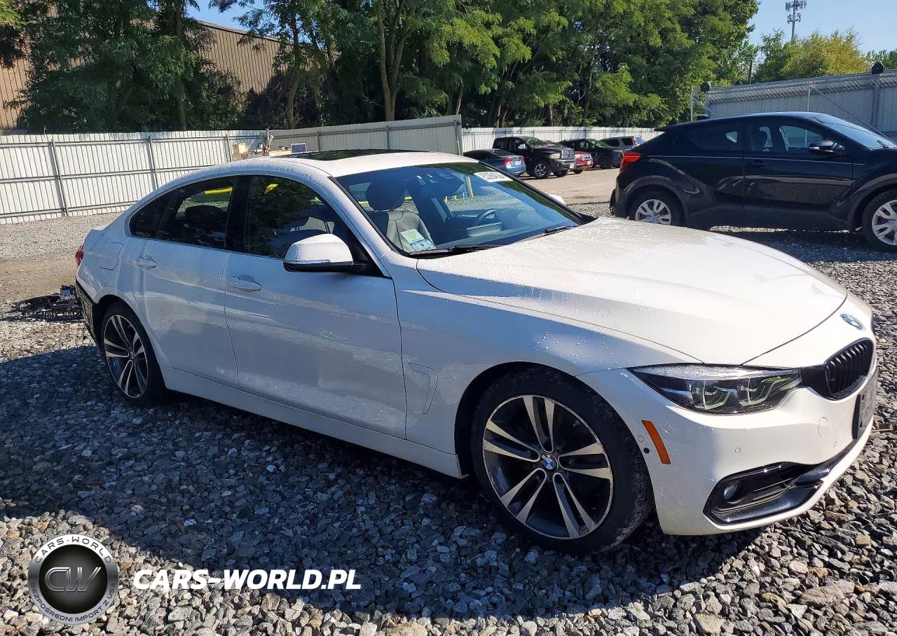 2020 BMW 430I Gran Coupe VIN:WBA4J1C00LBU68011 - 4