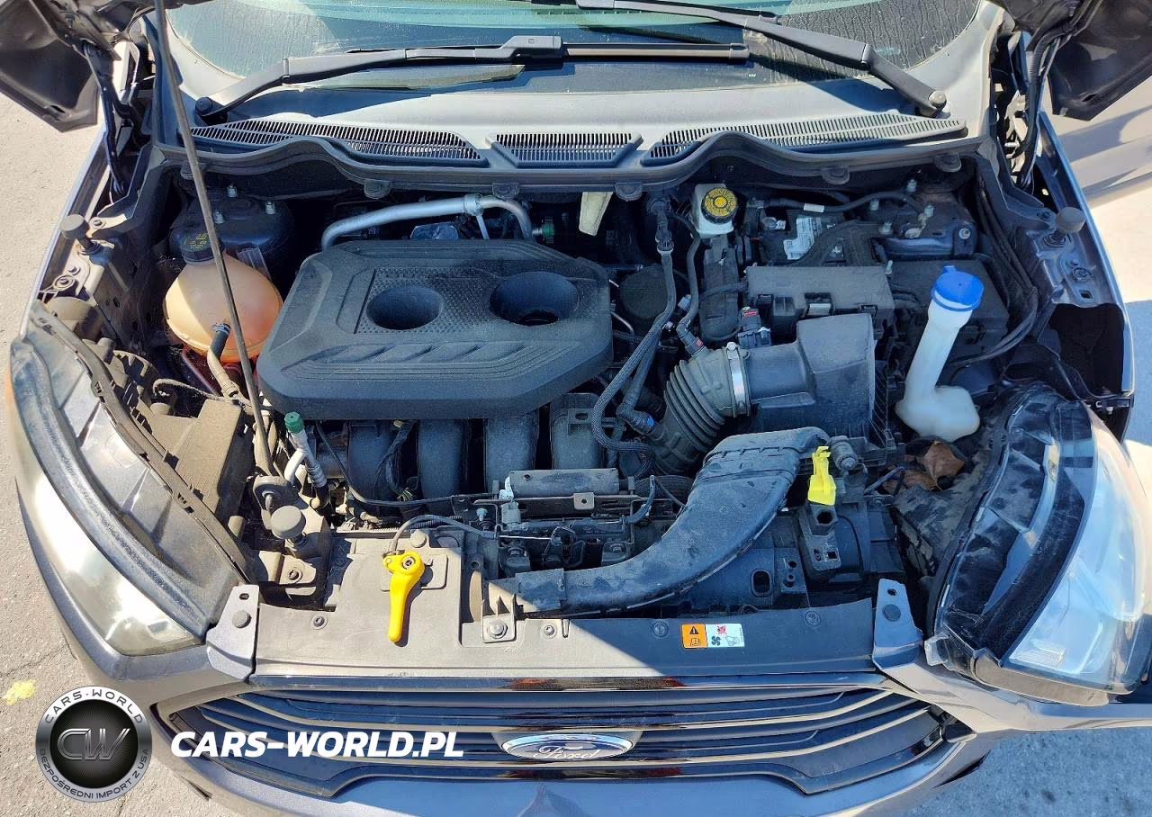 2019 Ford Ecosport S VIN:MAJ6S3FL9KC309660 - 12