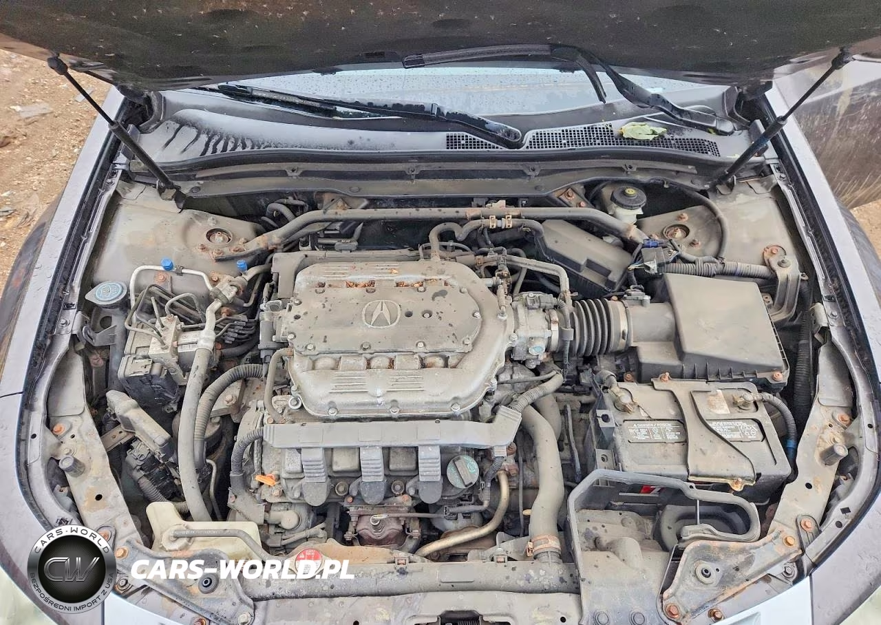 2009 Acura Tl VIN:19UUA86559A004425 - 11