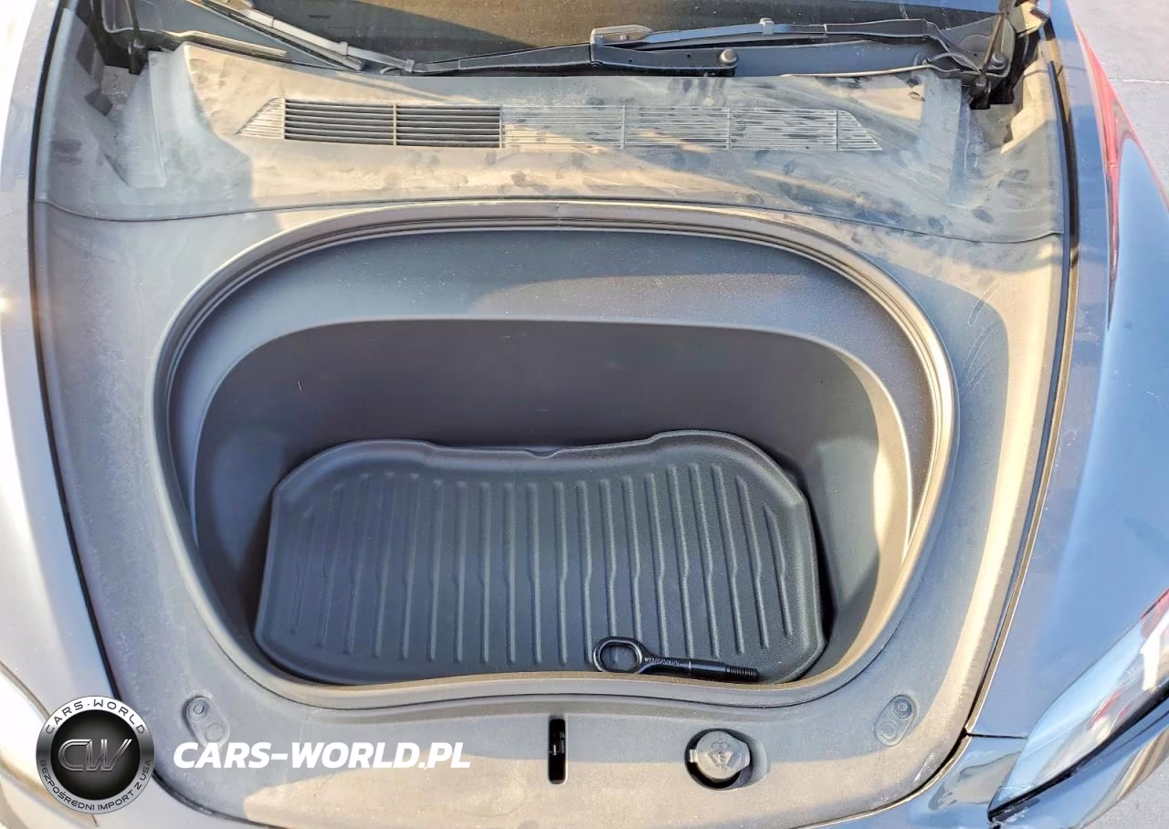 2025 Tesla Model 3 VIN:5YJ3E1EA2SF007316 - 11