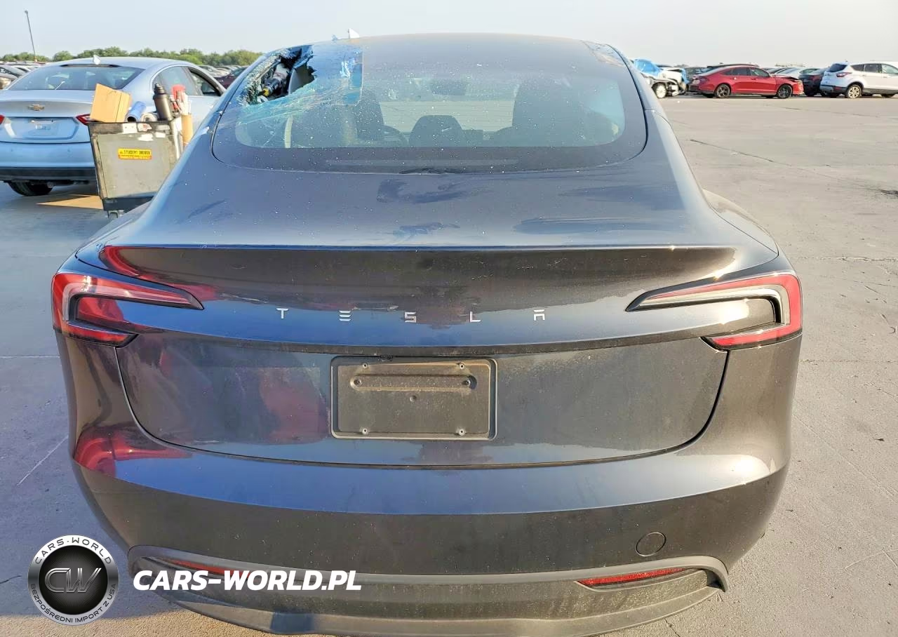 2025 Tesla Model 3 VIN:5YJ3E1EA2SF007316 - 6