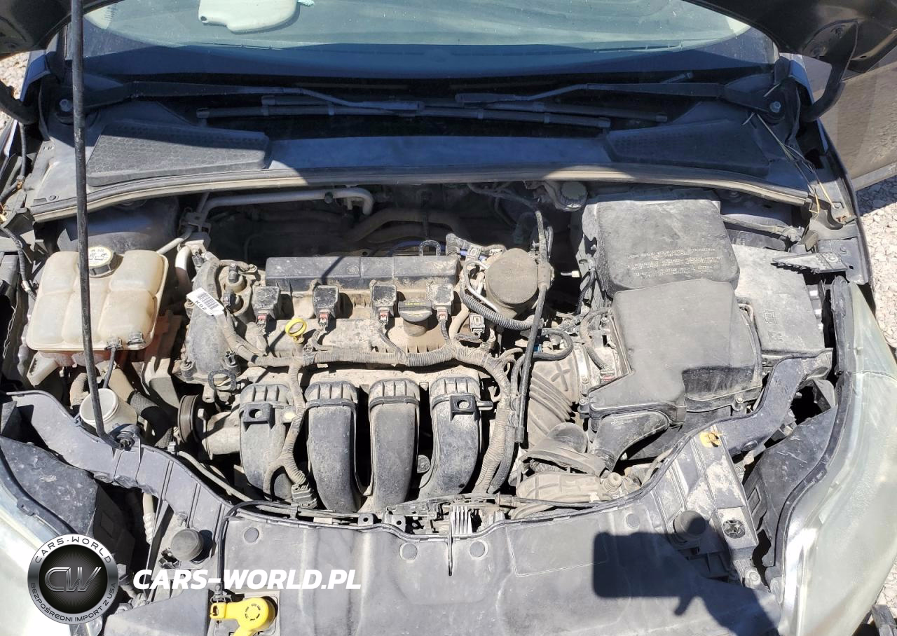 2013 Ford Focus Se VIN:1FADP3F22DL264953 - 11