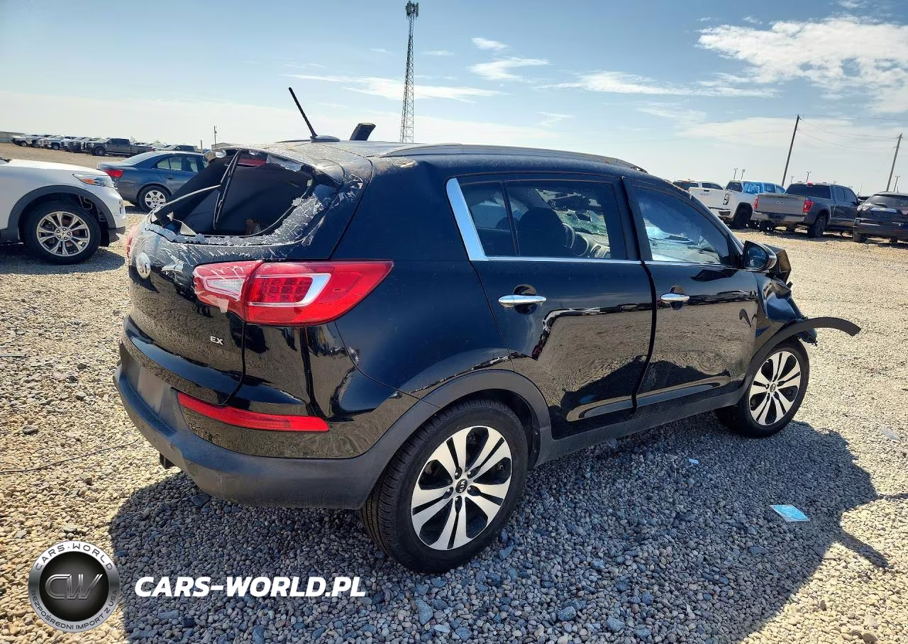 2013 Kia Sportage Ex VIN:KNDPC3A22D7388983 - 3