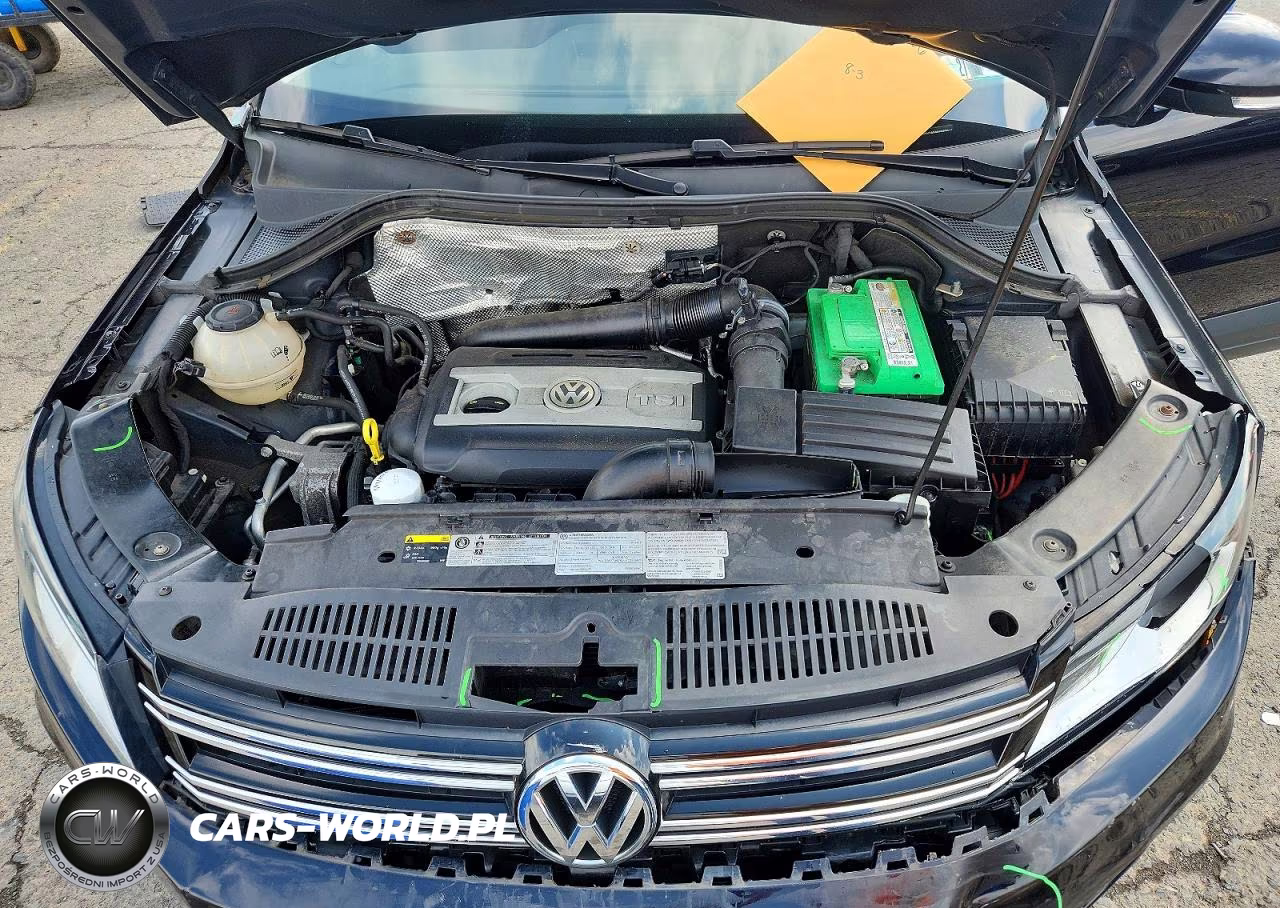 2017 Volkswagen Tiguan S VIN:WVGBV7AX8HK047013 - 11