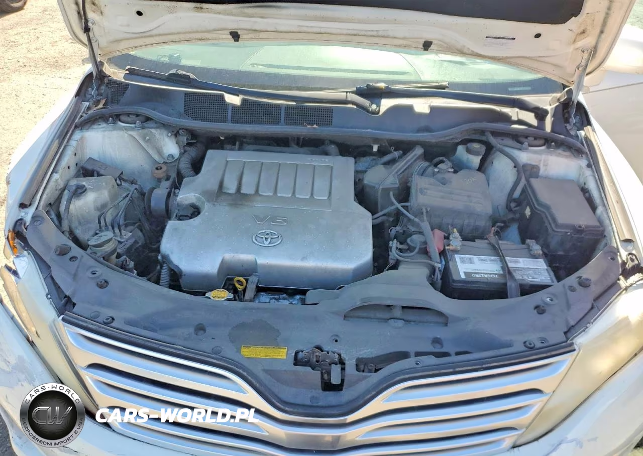 2009 Toyota Venza Awd V6 VIN:4T3BK11A79U023283 - 11