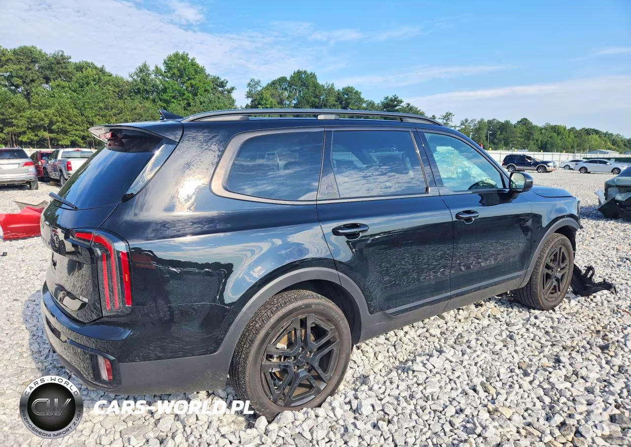 2025 Kia Telluride Ex X-Line VIN:5XY3DGC0SG574642 - 3
