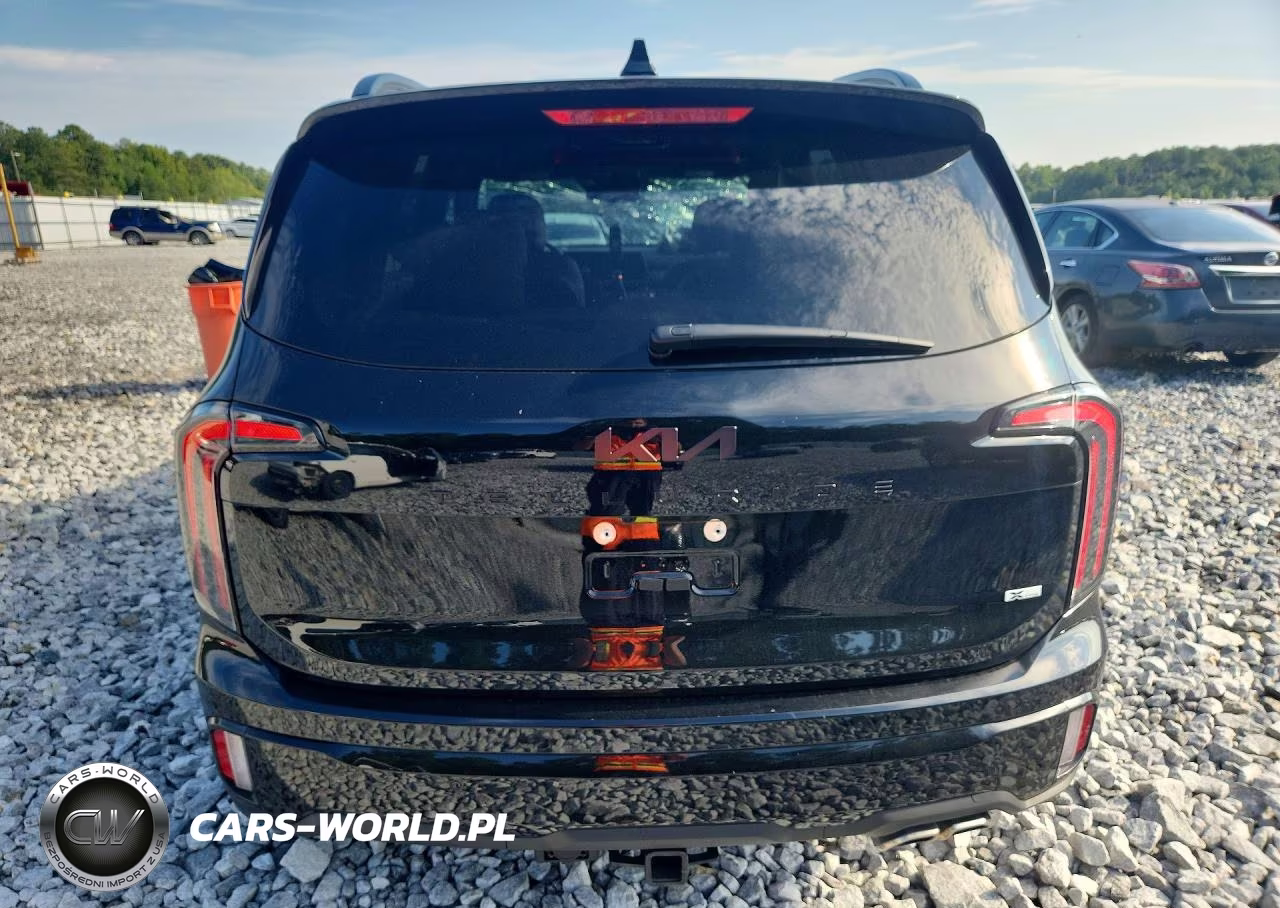 2025 Kia Telluride Ex X-Line VIN:5XY3DGC0SG574642 - 6