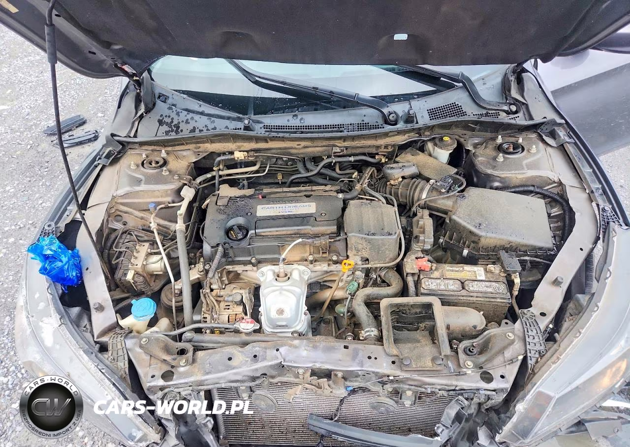 2014 Honda Accord Lx VIN:1HGCR2F35EA305562 - 11