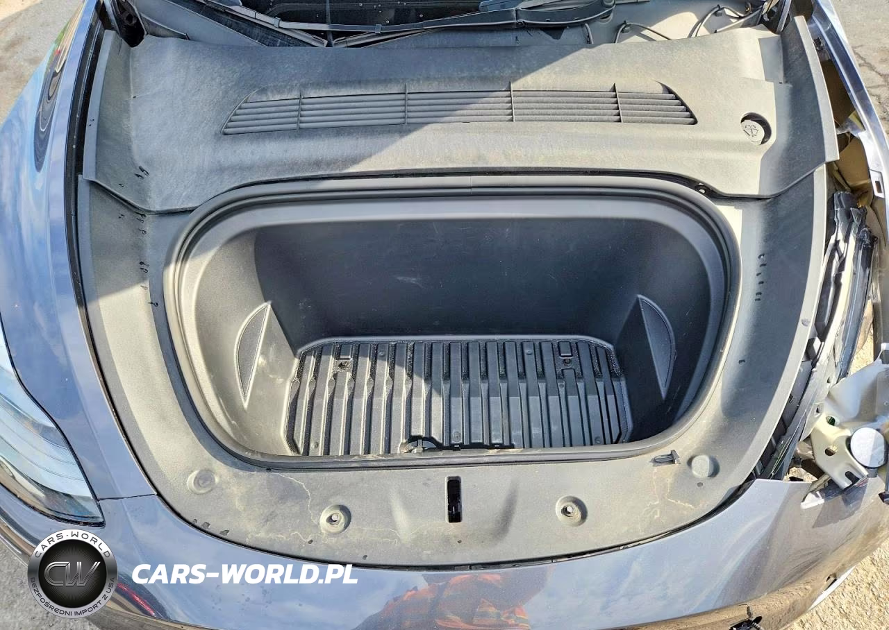2023 Tesla Model Y VIN:7SAYGDEDXPF931119 - 12