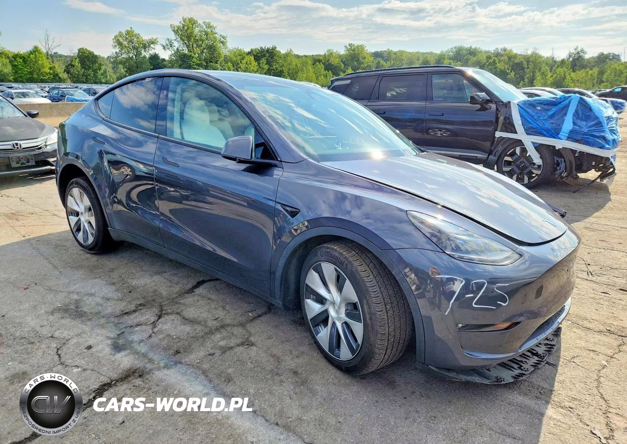 2023 Tesla Model Y VIN:7SAYGDEDXPF931119 - 4