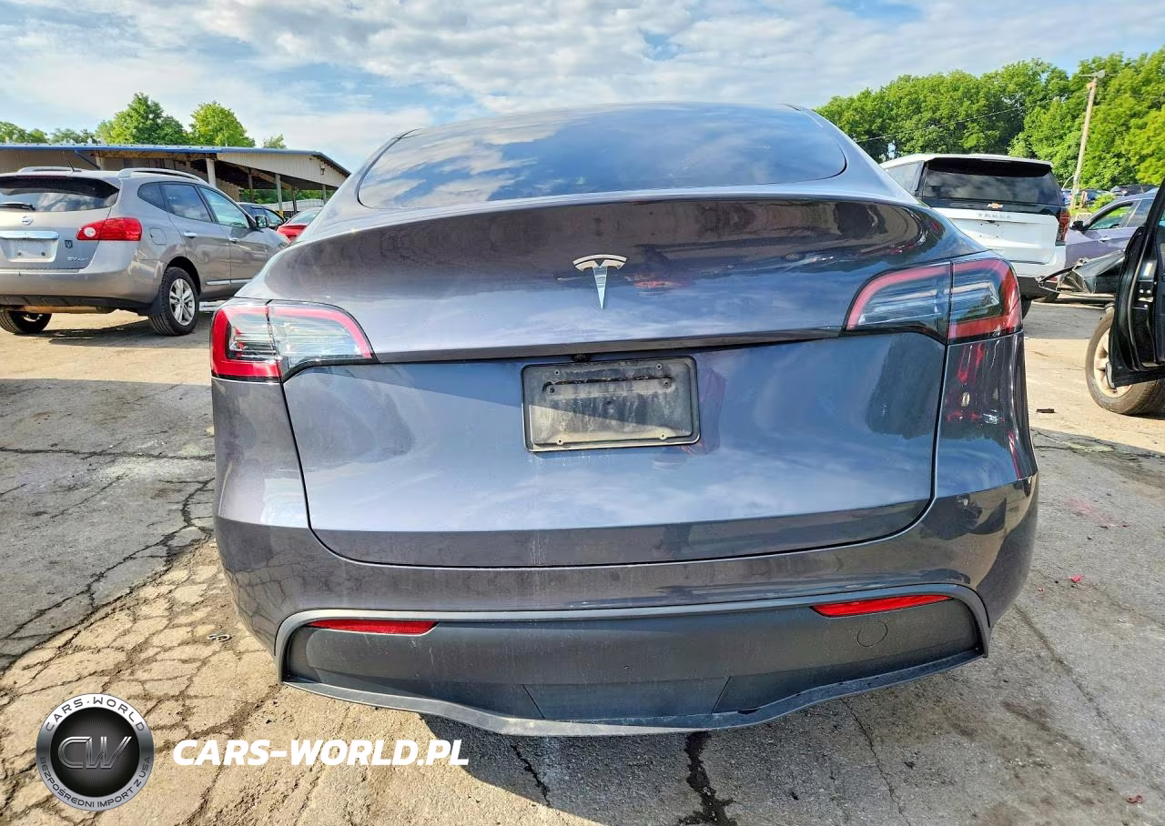 2023 Tesla Model Y VIN:7SAYGDEDXPF931119 - 6