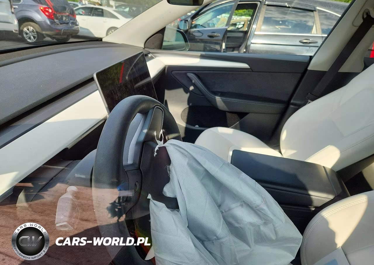 2023 Tesla Model Y VIN:7SAYGDEDXPF931119 - 9