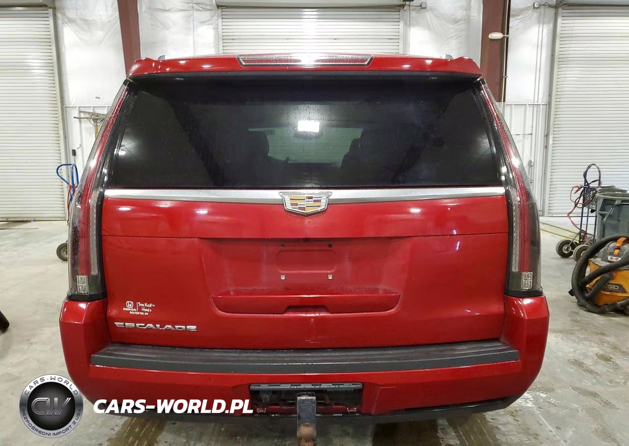 2015 Cadillac Escalade Luxury VIN:1GYS4MKJ0FR528999 - 6