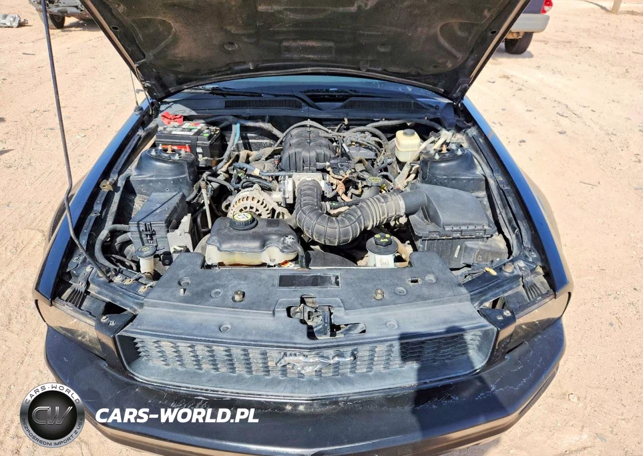 2008 Ford Mustang VIN:1ZVHT80N885132505 - 11