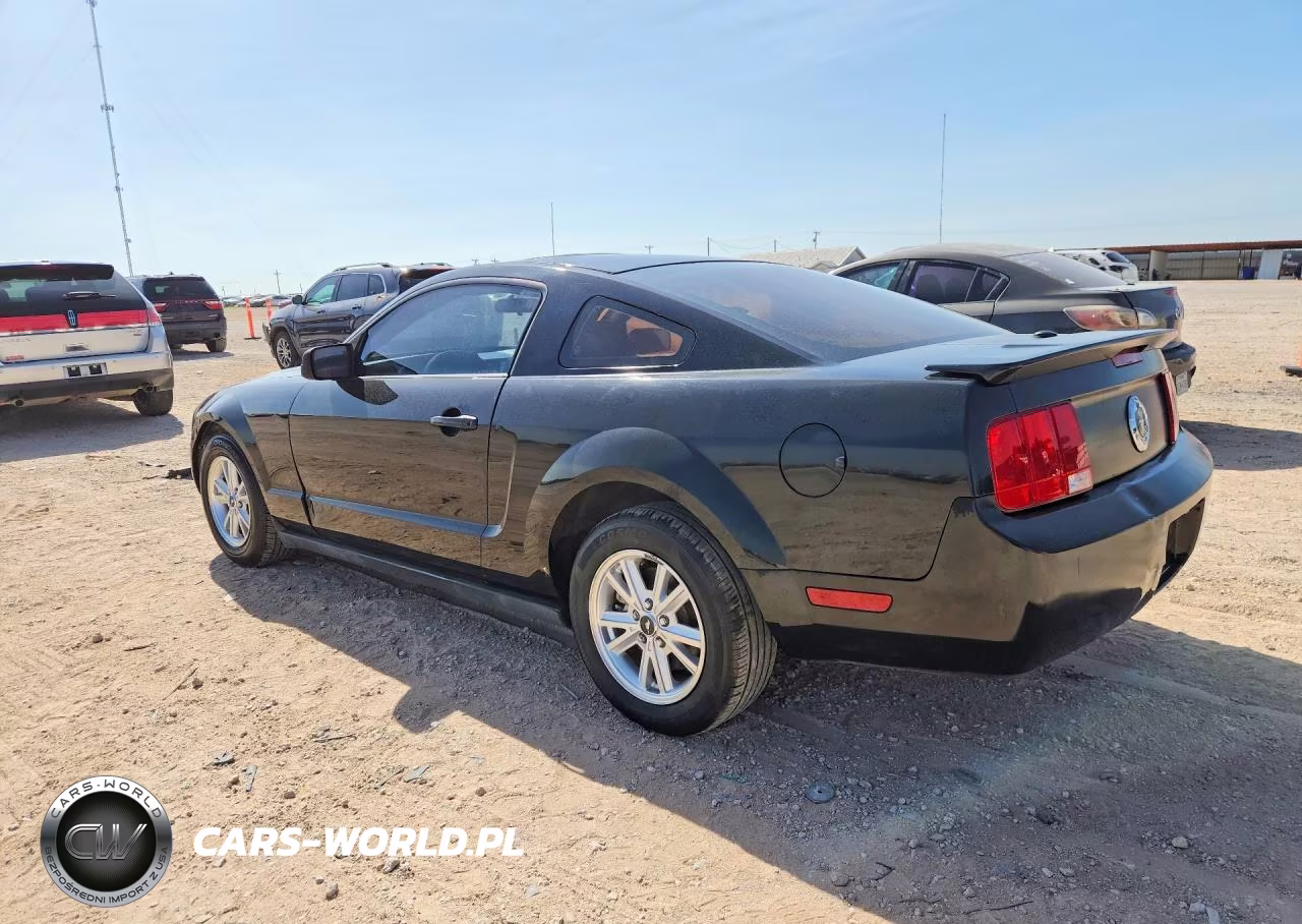 2008 Ford Mustang VIN:1ZVHT80N885132505 - 2