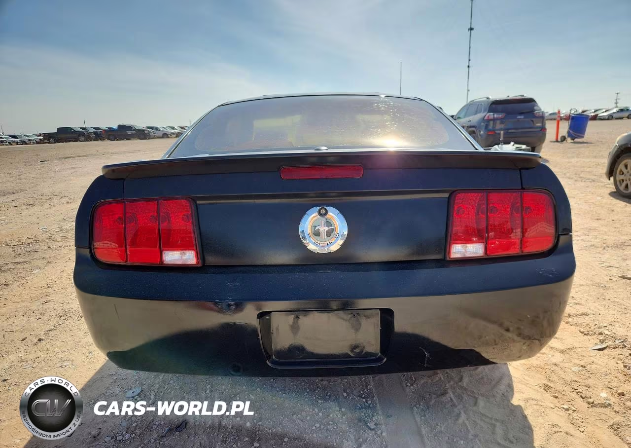 2008 Ford Mustang VIN:1ZVHT80N885132505 - 6