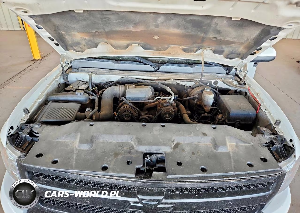 2011 Chevrolet Silverado C1500 VIN:1GCNCPEX5BZ283893 - 11