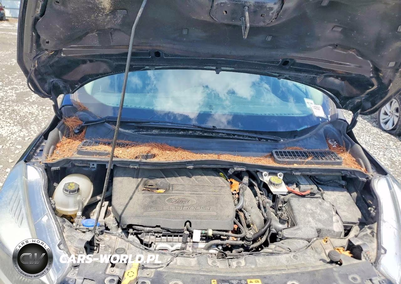 2018 Ford Escape Se VIN:1FMCU9GD2JUB01528 - 12