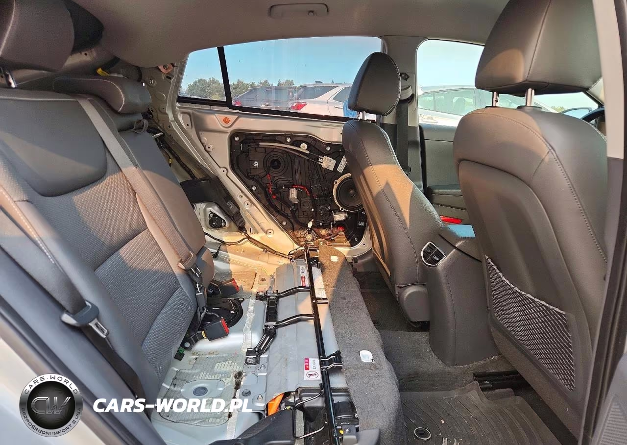 2019 Hyundai Ioniq Limited VIN:KMHC75LD2KU110429 - 10