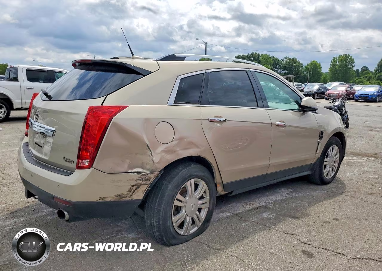 2010 Cadillac Srx Luxury Collection VIN:3GYFNAEYXAS567532 - 3