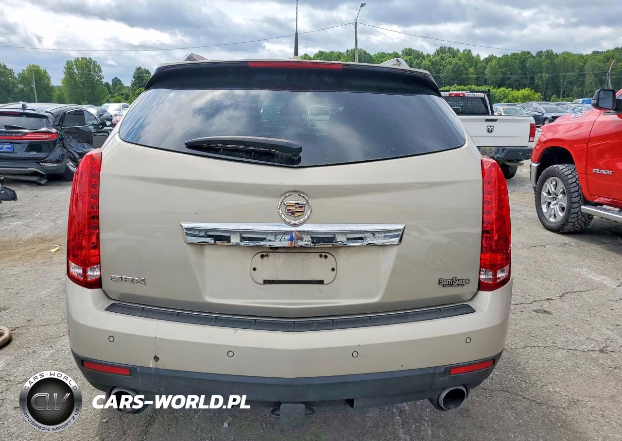 2010 Cadillac Srx Luxury Collection VIN:3GYFNAEYXAS567532 - 6